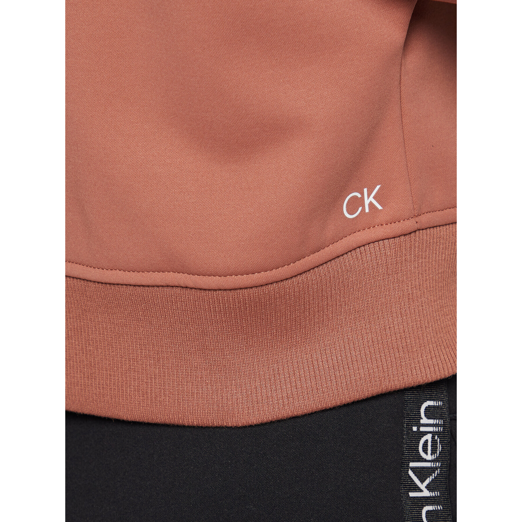 Calvin Klein Performance Jopa 00GWF2W300 Rjava Regular Fit - Pepit.si