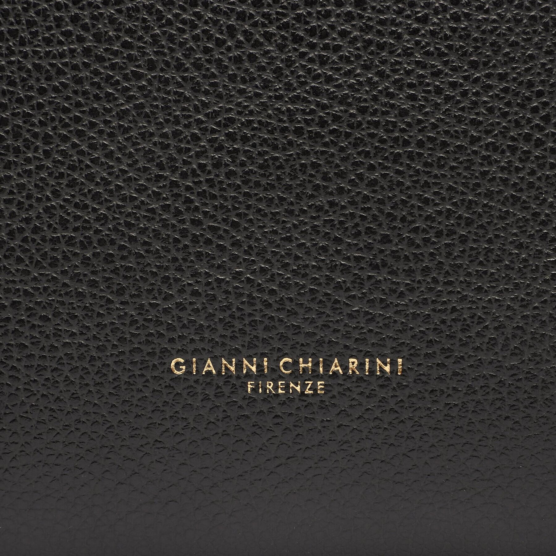 Gianni Chiarini Ročna torba BS 4192/23AI RMN-NA Črna - Pepit.si