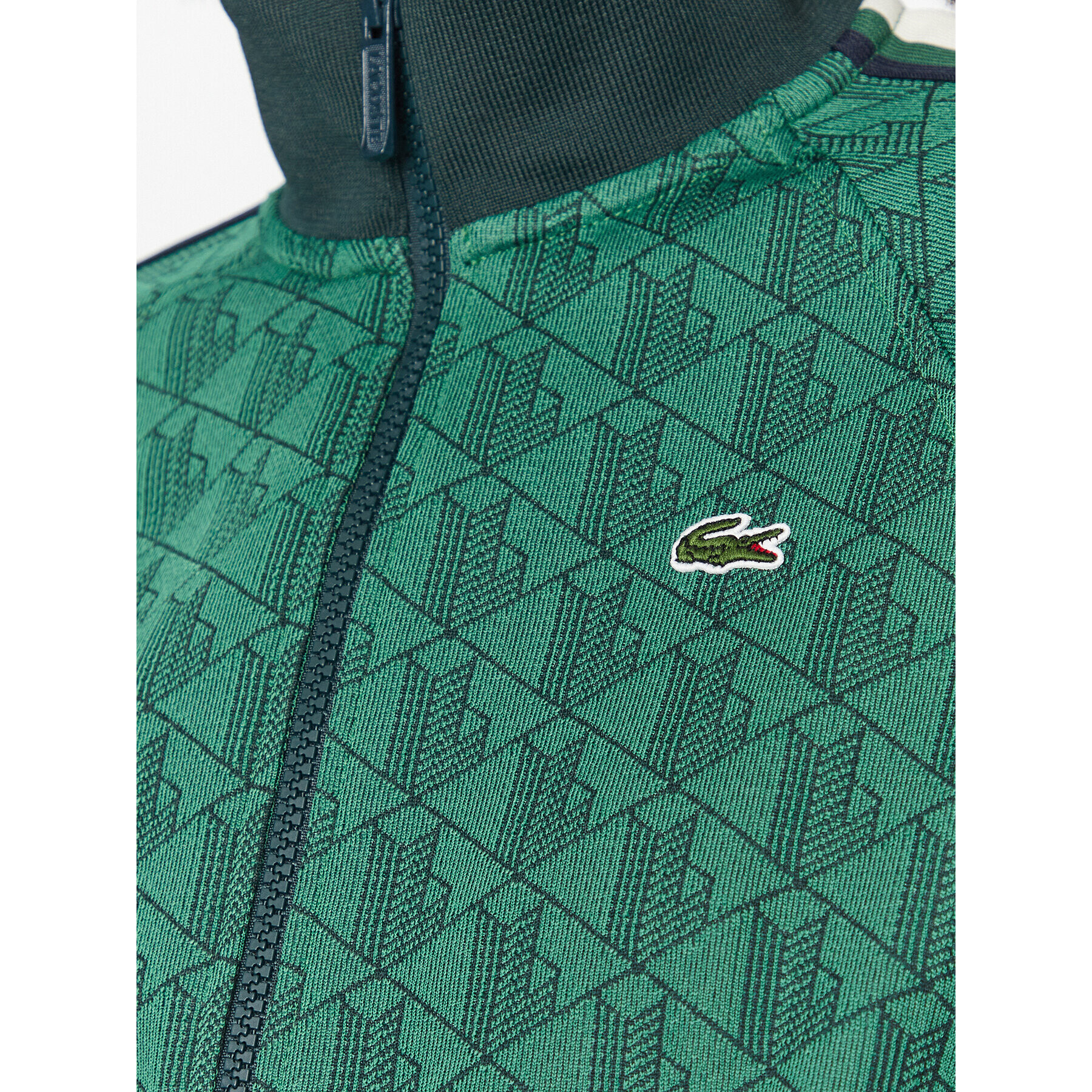 Lacoste Jopa SF0856 Zelena Regular Fit - Pepit.si