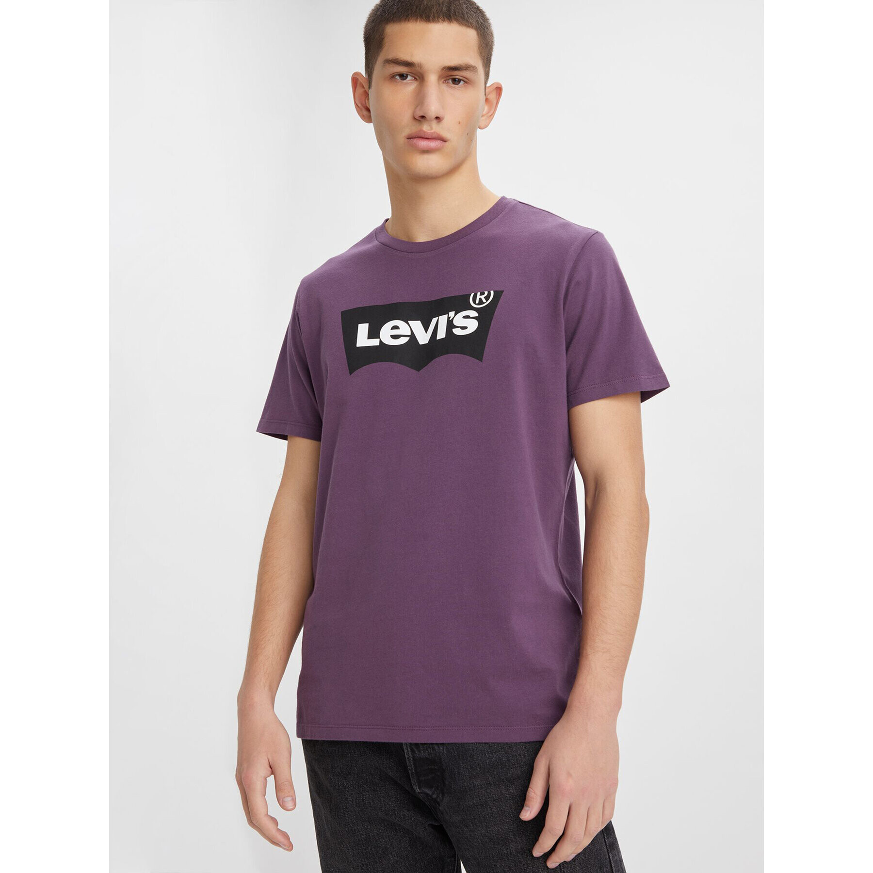 Levi's® Majica Classic Graphic Tee 224911193 Vijolična Regular Fit - Pepit.si