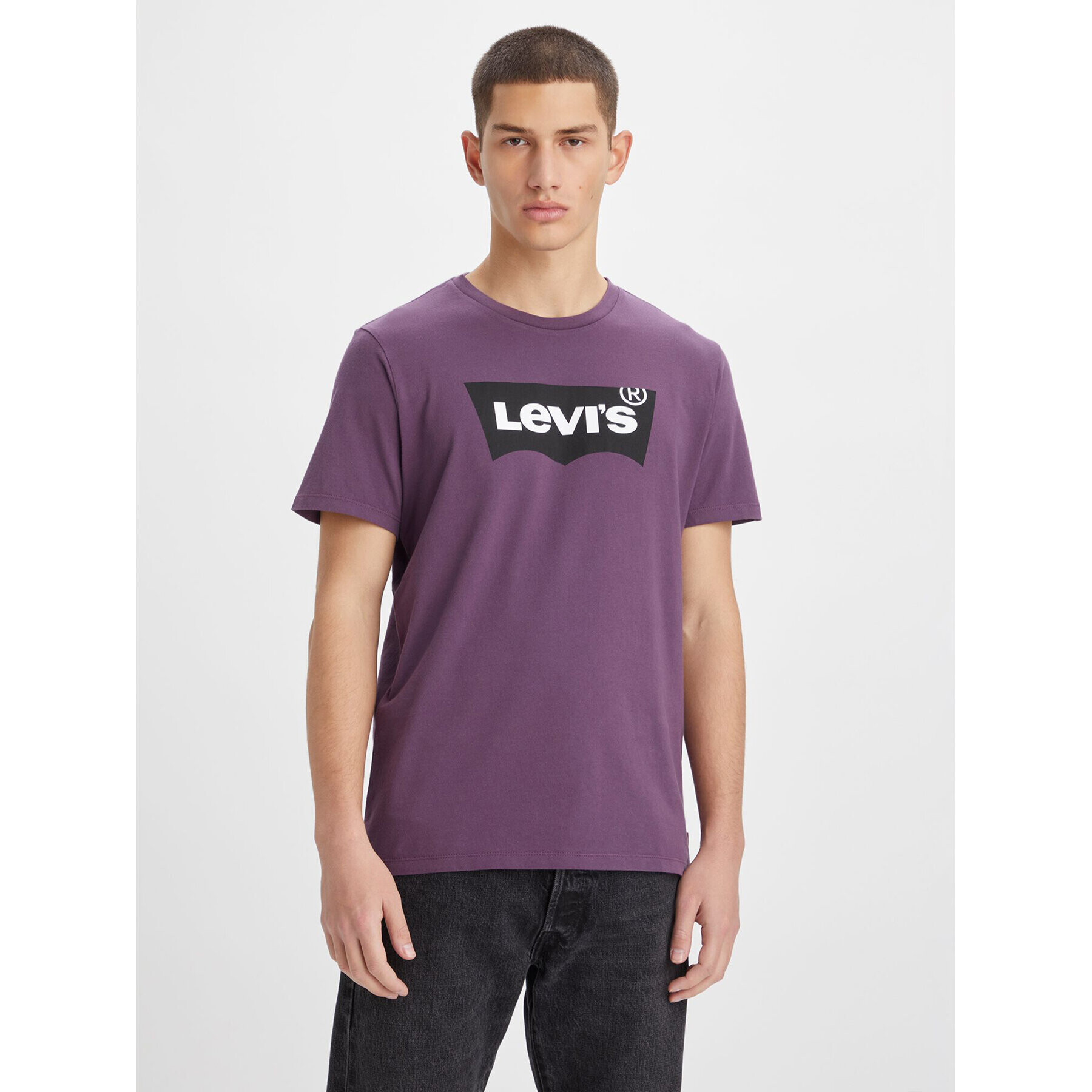 Levi's® Majica Classic Graphic Tee 224911193 Vijolična Regular Fit - Pepit.si