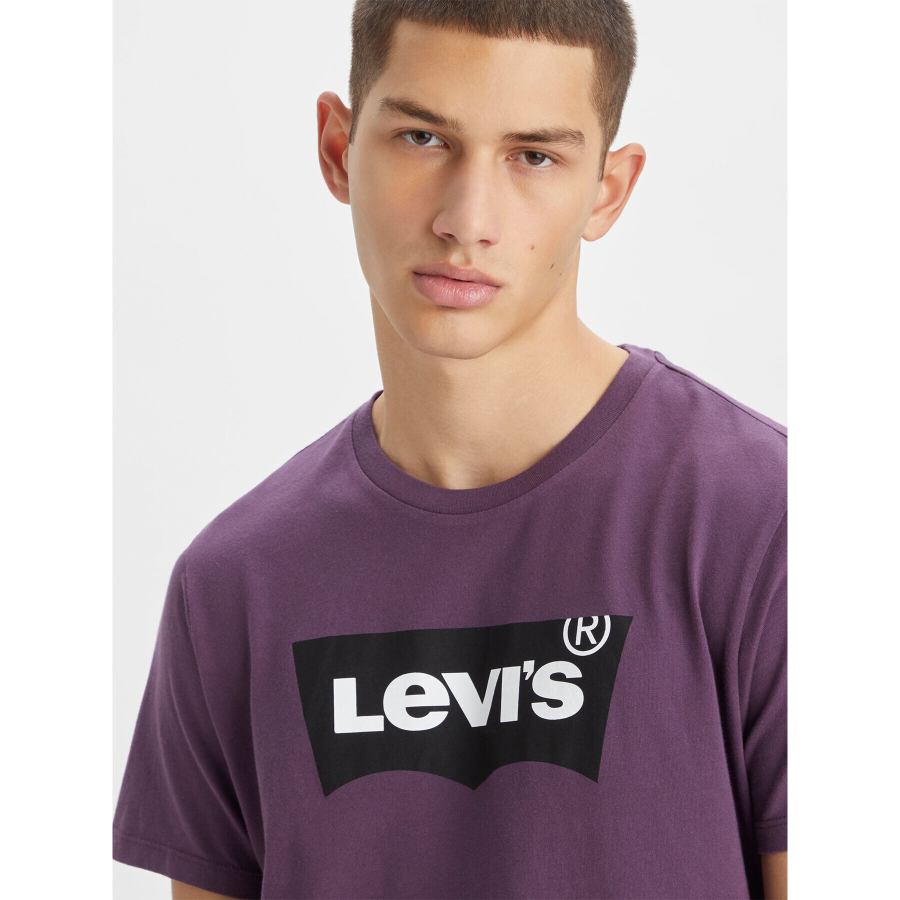 Levi's® Majica Classic Graphic Tee 224911193 Vijolična Regular Fit - Pepit.si