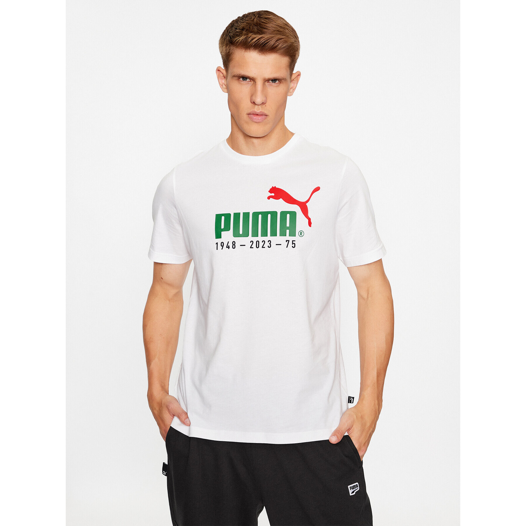 Puma Majica No. 1 Logo Celebration 676020 Bela Regular Fit - Pepit.si