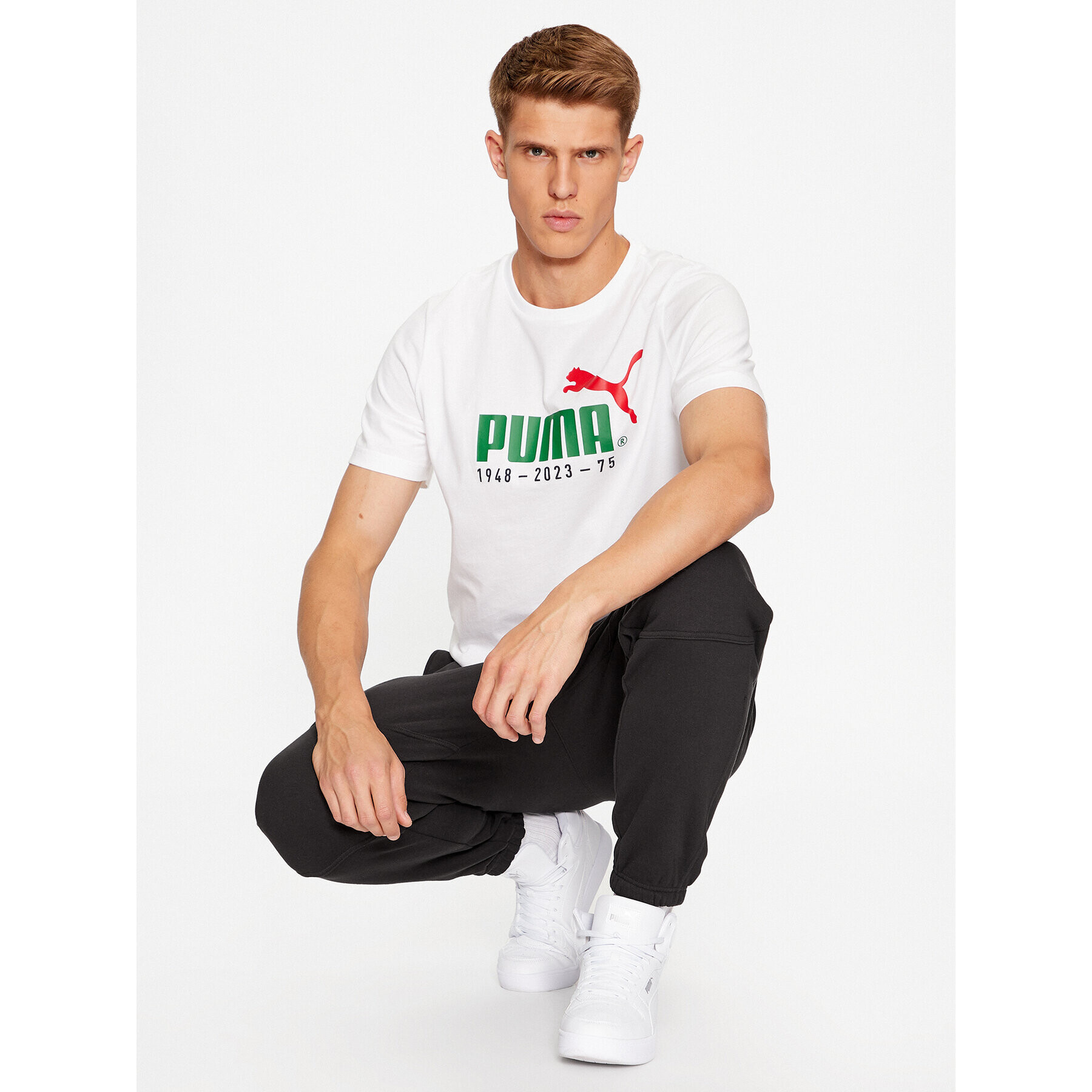 Puma Majica No. 1 Logo Celebration 676020 Bela Regular Fit - Pepit.si