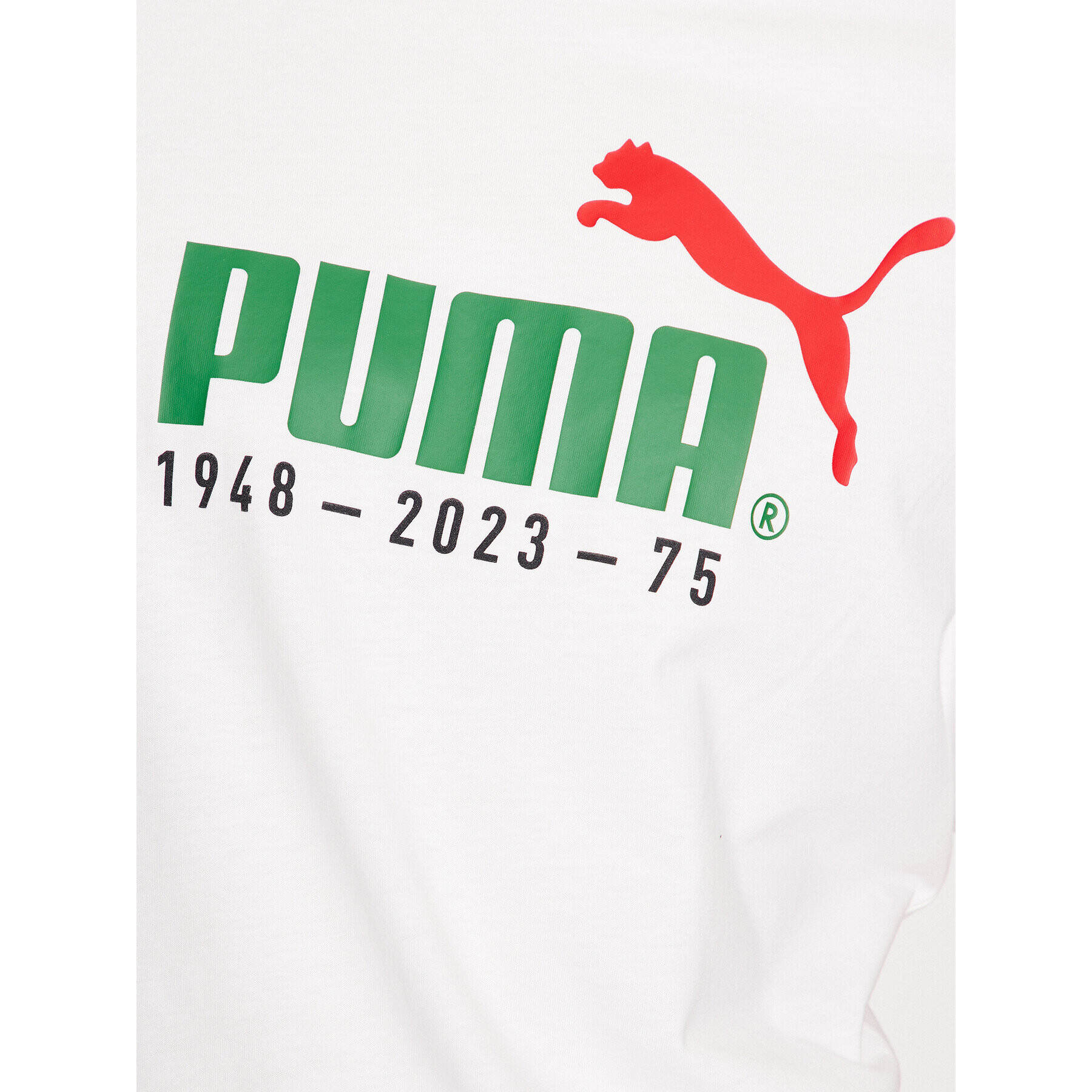 Puma Majica No. 1 Logo Celebration 676020 Bela Regular Fit - Pepit.si