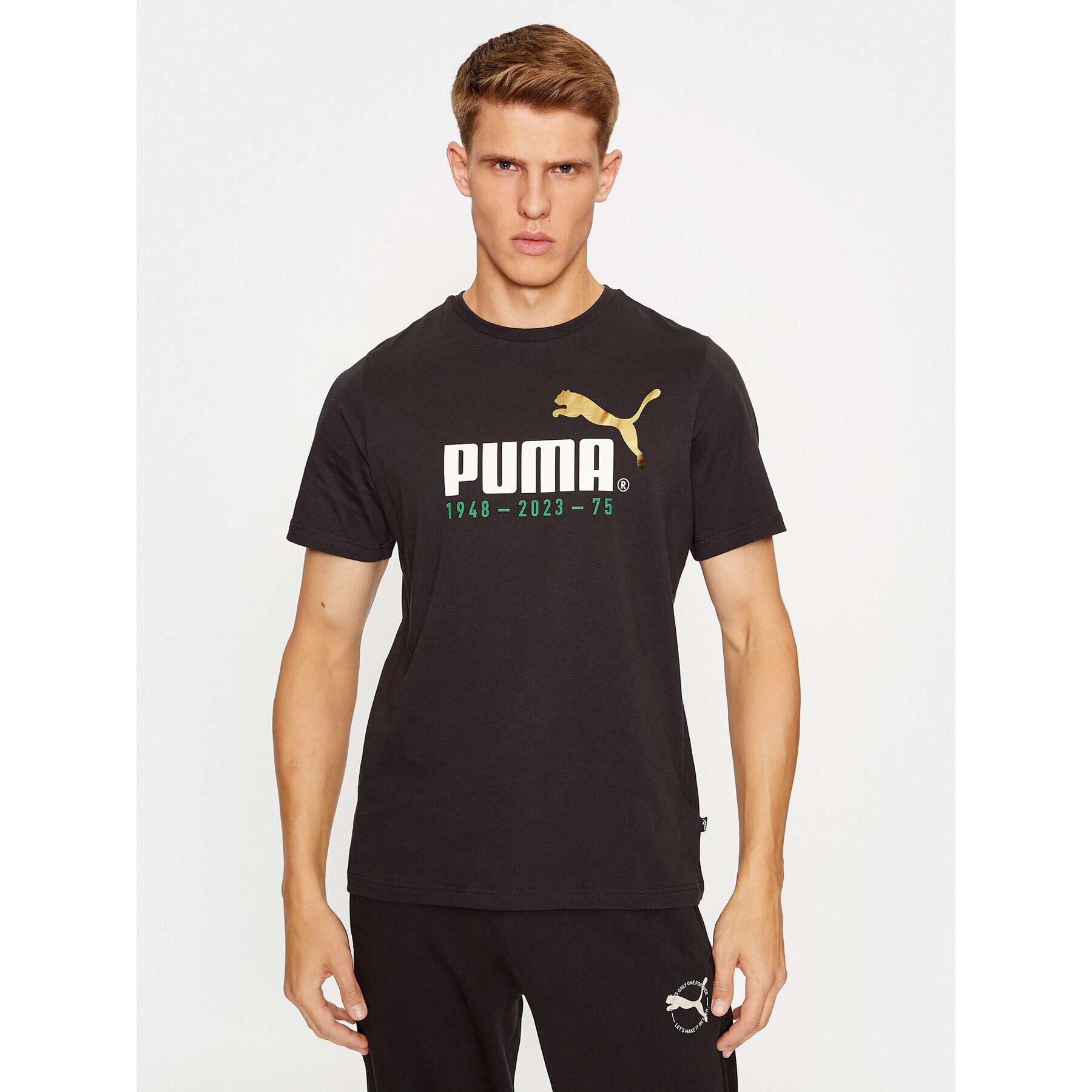 Puma Majica No. 1 Logo Celebration 676020 Črna Regular Fit - Pepit.si