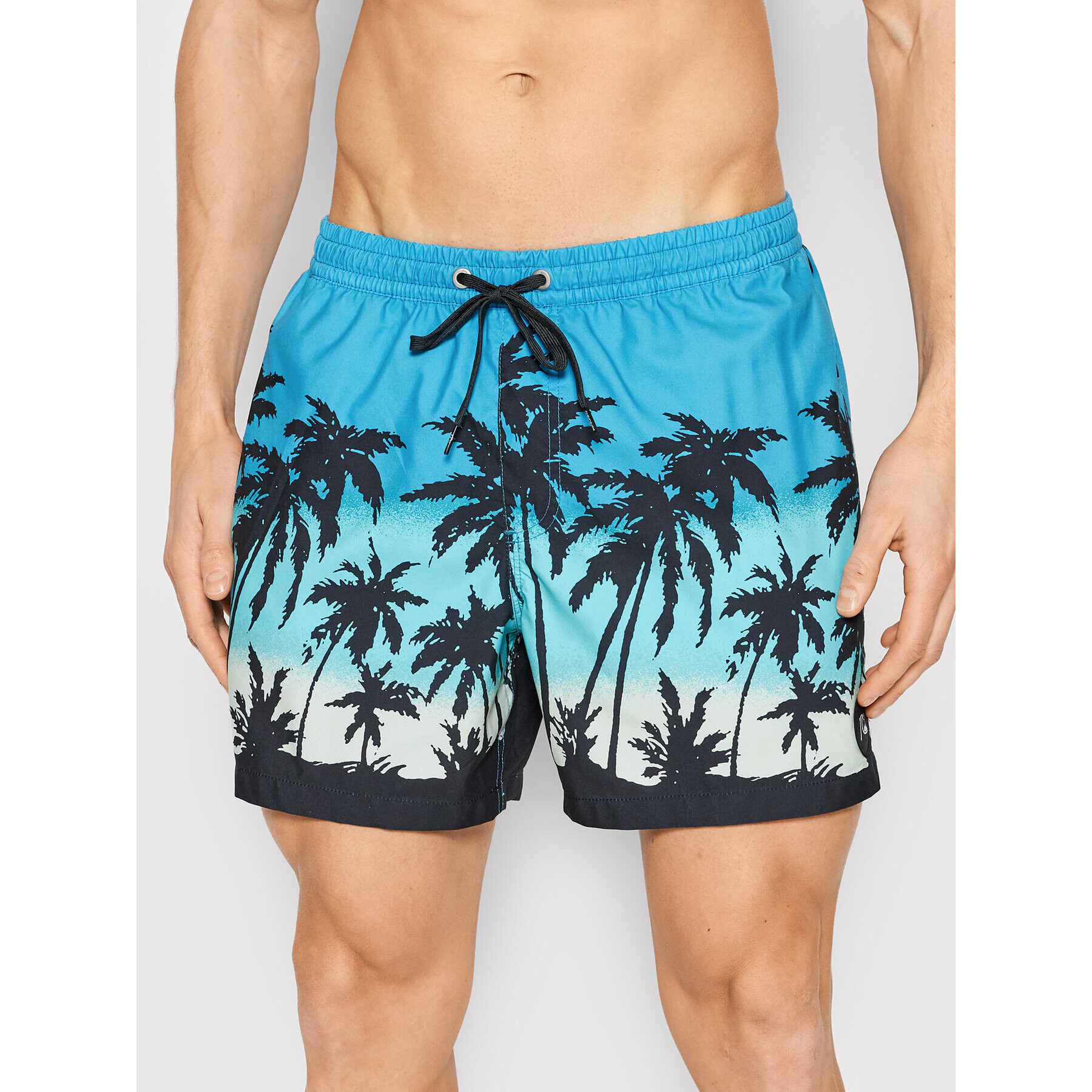 Quiksilver Kopalne hlače Everyday Paradise 15" EQYJV03861 Modra Regular Fit - Pepit.si