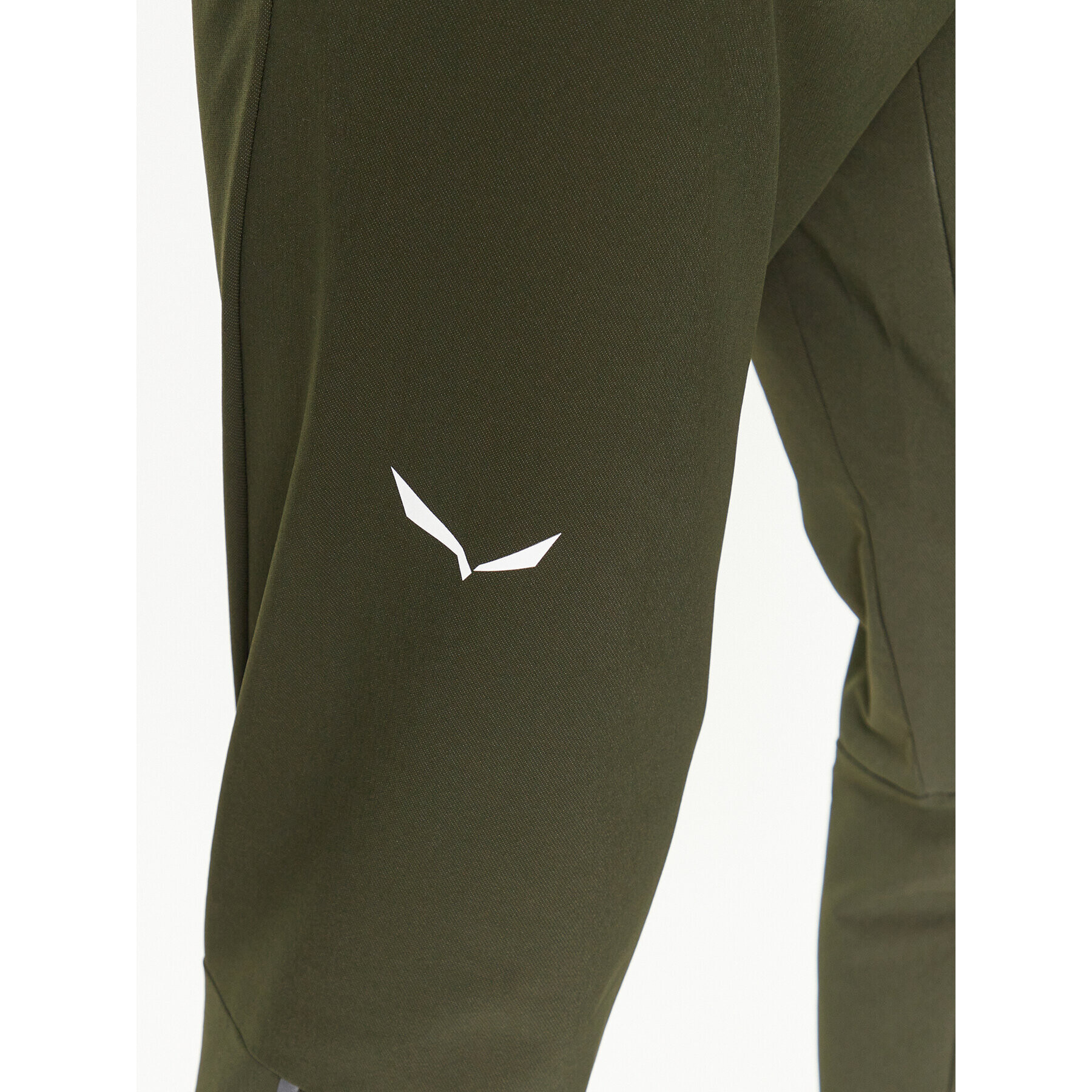 Salewa Pohodne hlače Pedroc Dst Reg Pant 00-0000028702 Zelena Regular Fit - Pepit.si