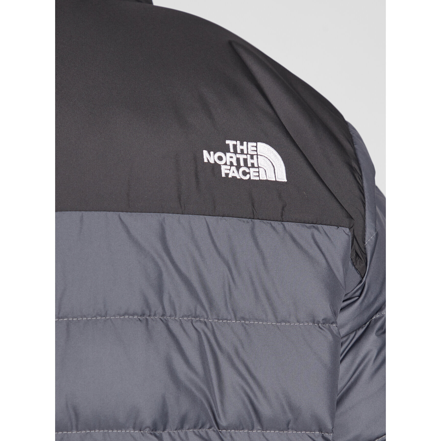 The North Face Puhovka Acncga 2 NF0A4R29 Mornarsko modra Regular Fit - Pepit.si