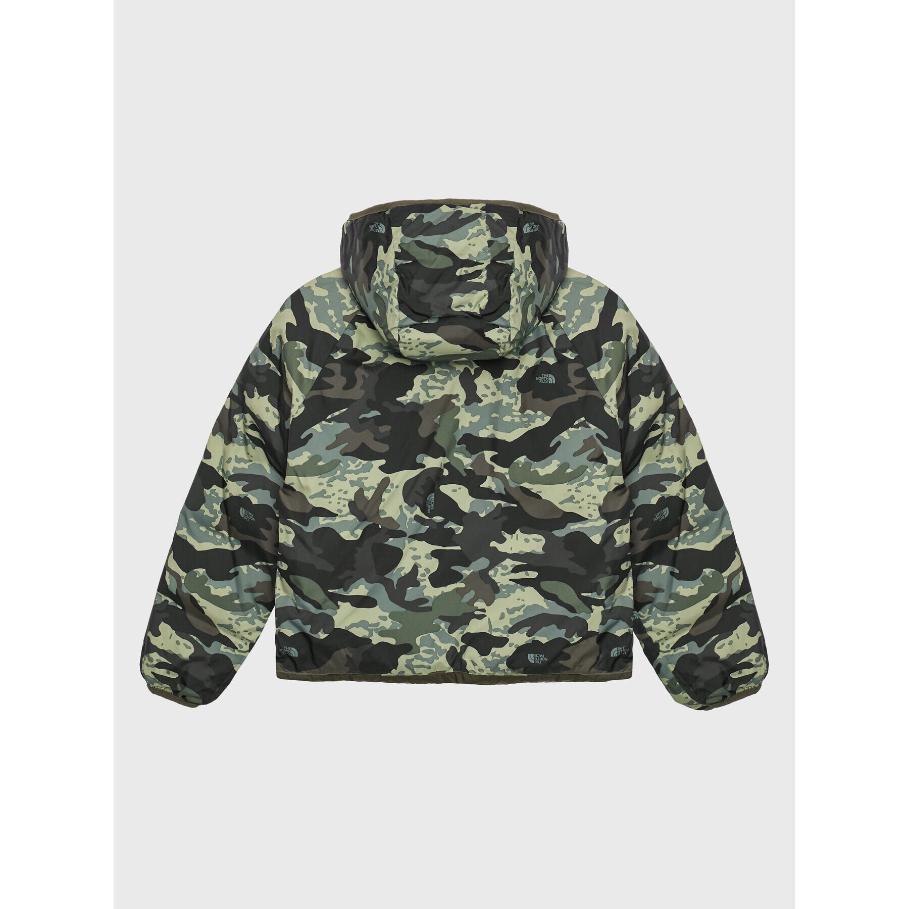 The North Face Puhovka Printed NF0A7WOP Zelena Regular Fit - Pepit.si