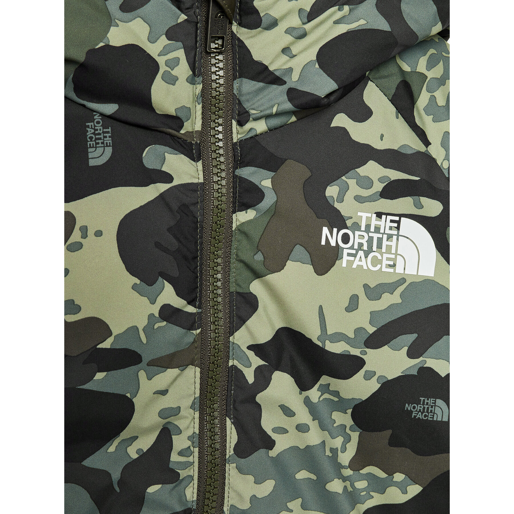 The North Face Puhovka Printed NF0A7WOP Zelena Regular Fit - Pepit.si