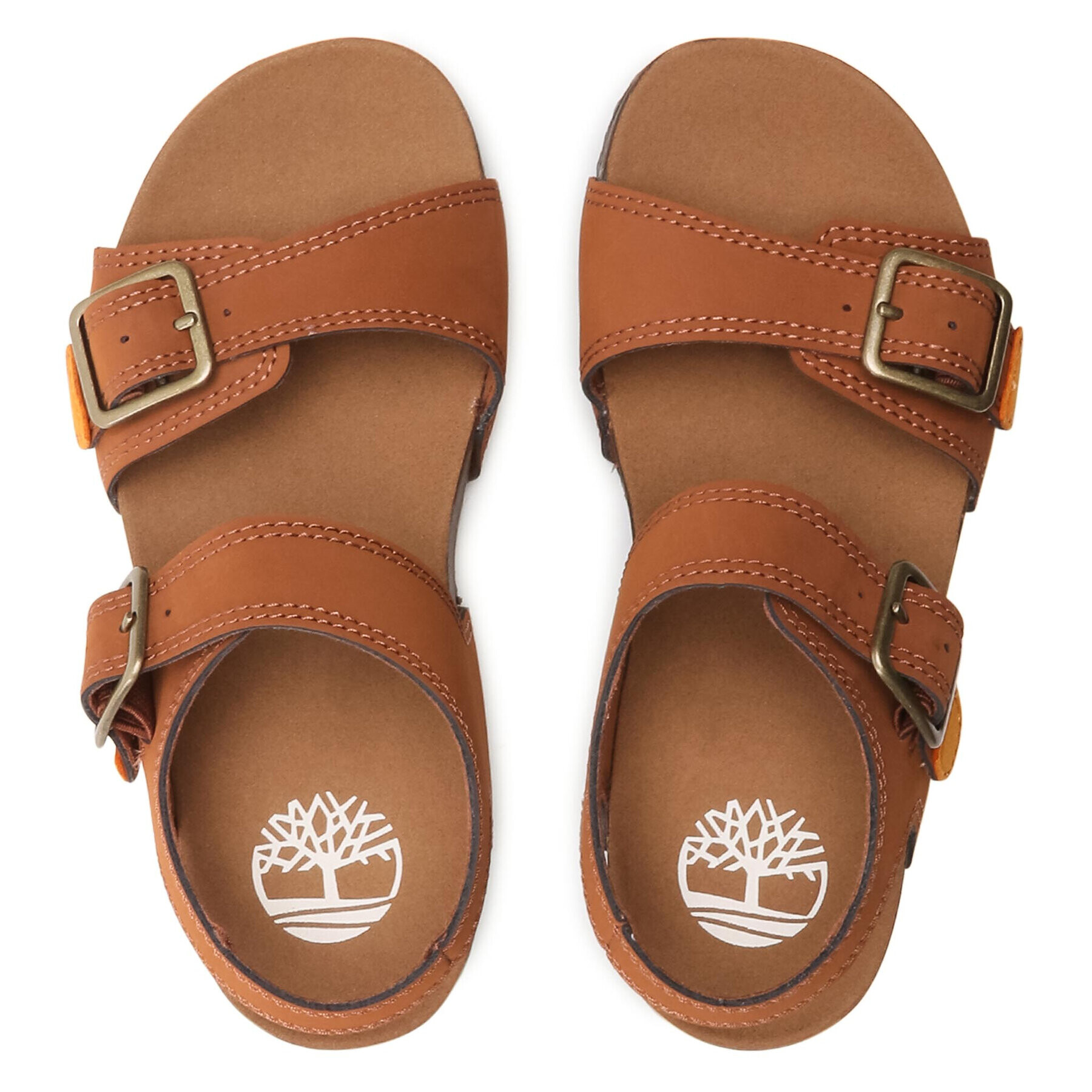 Timberland Sandali Castle Island 2 Strap TB0A427QF13 Rjava - Pepit.si